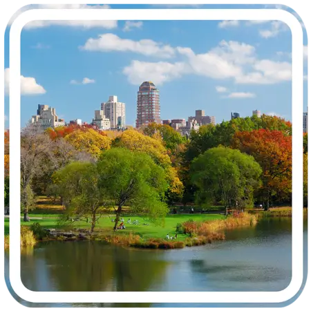 The image shows a lake with trees lining the shore in the foreground. In the background, there are buildings, including skyscrapers.