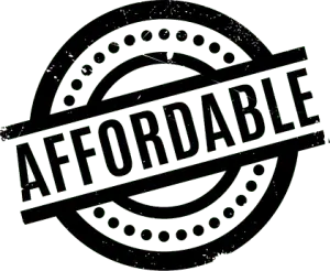 Affordable logo design: A simple yet professional logo design that is cost-effective and visually appealing.