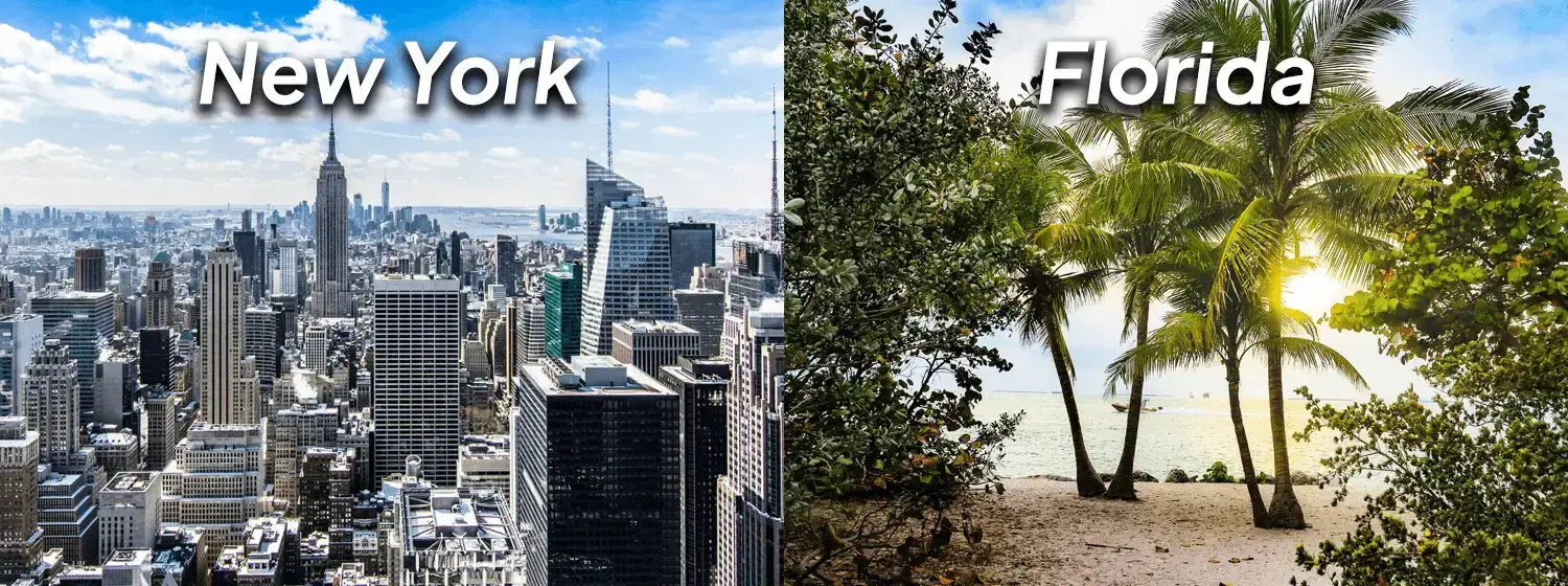The image is divided into two sections. The left side shows an aerial view of a New York City skyline with the words New York written in the center. The right side depicts a sunny landscape with trees, with the word Florida positioned in the middle.