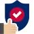 A blue shield with a large white checkmark, accompanied by a thumbs-up icon, depicts reliability or protection
