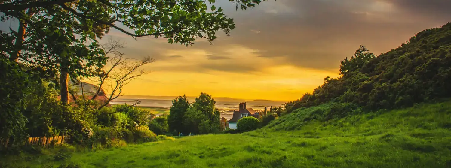 A grassy field in North Carolina bathed in the warm light of a sunset. The sky is ablaze with orange, and pink hues.